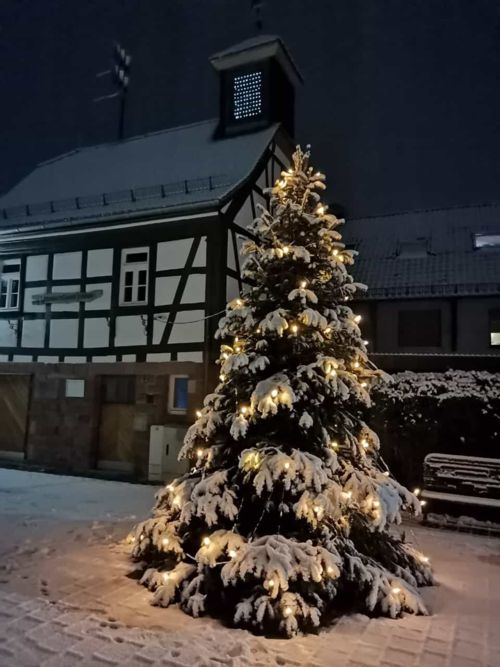 Weihnachtsbaum am Dalles im Schnee Weihnachtsbaum am Dalles im Schnee