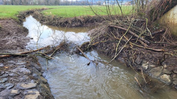 Neubau am 14.03.2025 Neubau am 14.03.2025