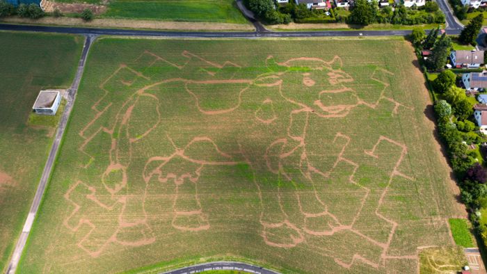 Das Maislabyrinth Das Maislabyrinth