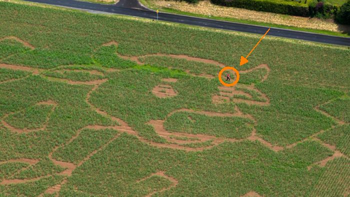 Maislabyrinth von oben - Detailansicht (zum Größenvergleich: Ein Mensch) Maislabyrinth von oben - Detailansicht (zum Größenvergleich: Ein Mensch)