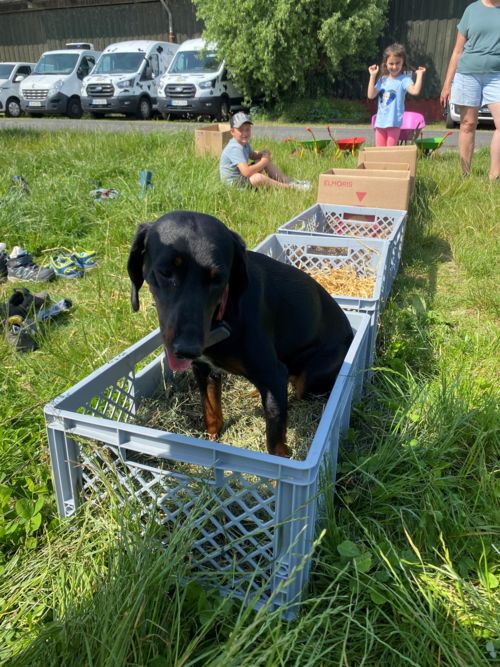 Auch Luna testet mit