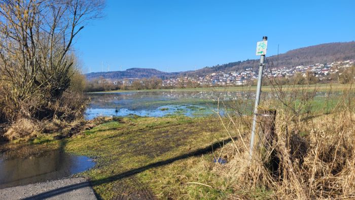 Aufgestaute Wasserfläche durch den Biberdamm Aufgestaute Wasserfläche durch den Biberdamm