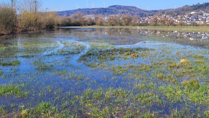 Aufgestaute Wasserfläche durch den Biberdamm Aufgestaute Wasserfläche durch den Biberdamm