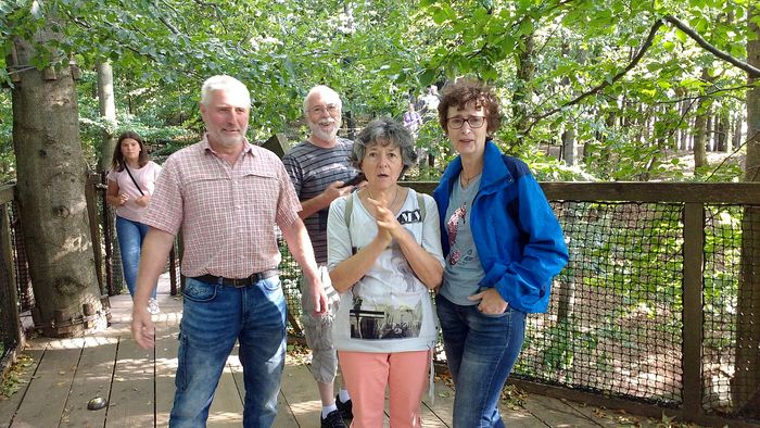 Auf dem Baumkronenpfad Auf dem Baumkronenpfad