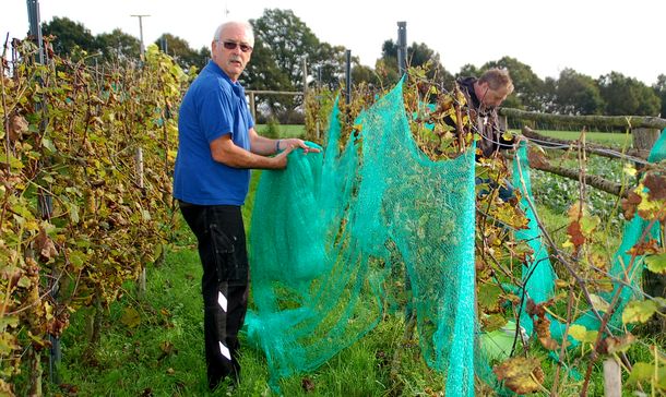 Weinlese 2014 Weinlese 2014