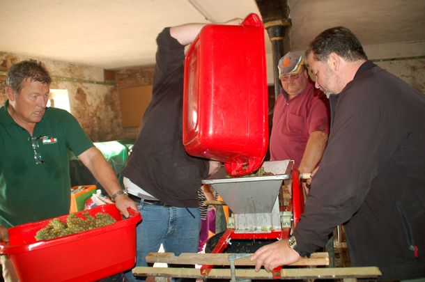 Weinlese 2014 - Pressen der Trauben Weinlese 2014 - Pressen der Trauben